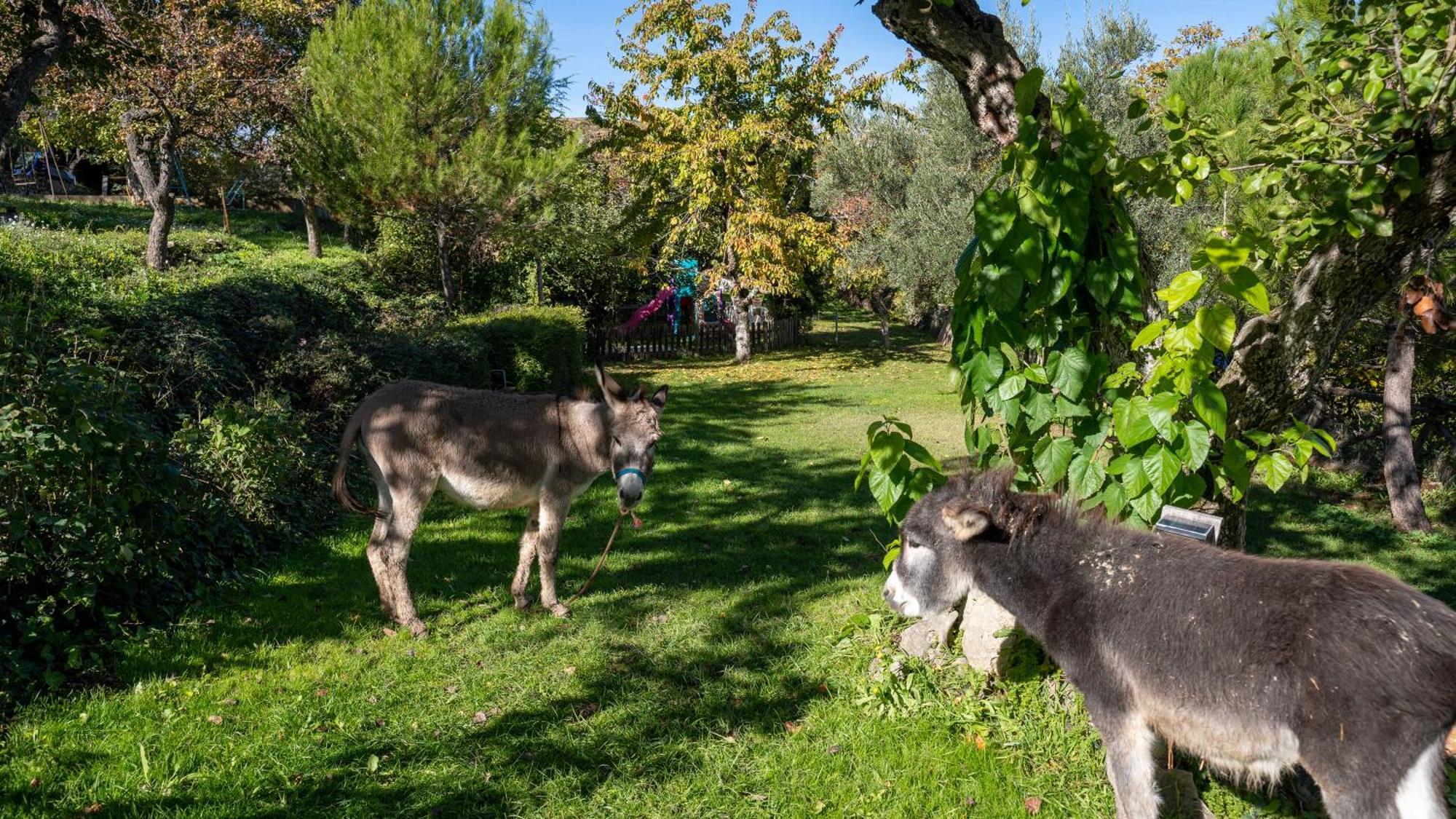 El Zarzal Konuk evi Horche Dış mekan fotoğraf