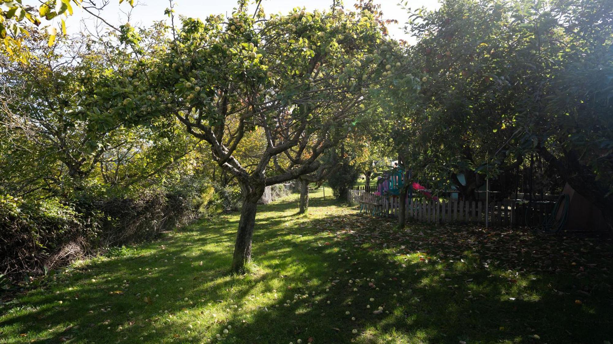 El Zarzal Konuk evi Horche Dış mekan fotoğraf