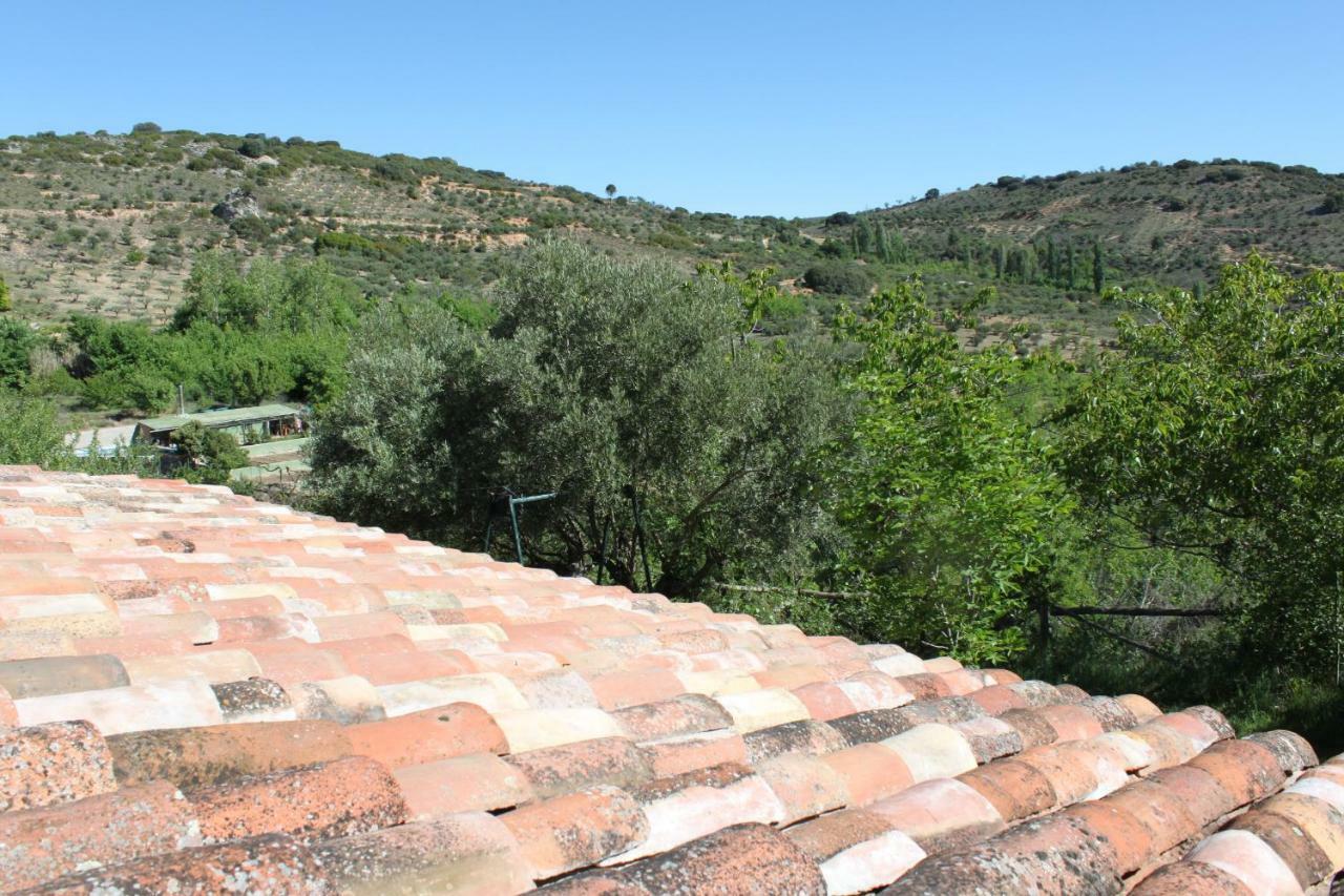 El Zarzal Konuk evi Horche Dış mekan fotoğraf