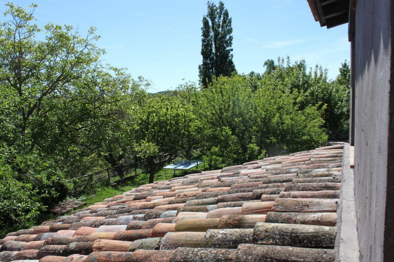 El Zarzal Konuk evi Horche Dış mekan fotoğraf