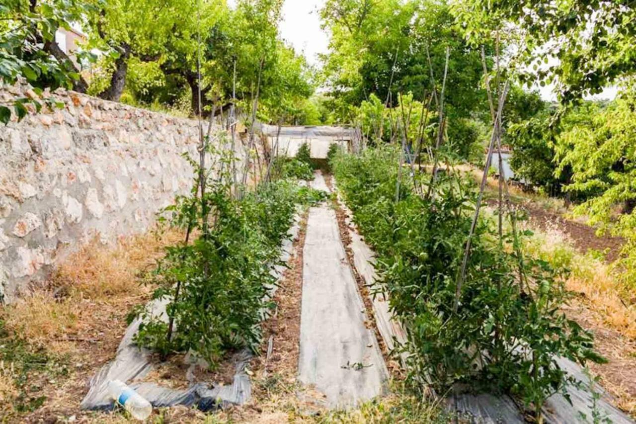 El Zarzal Konuk evi Horche Dış mekan fotoğraf