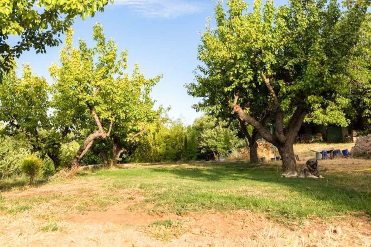 El Zarzal Konuk evi Horche Dış mekan fotoğraf